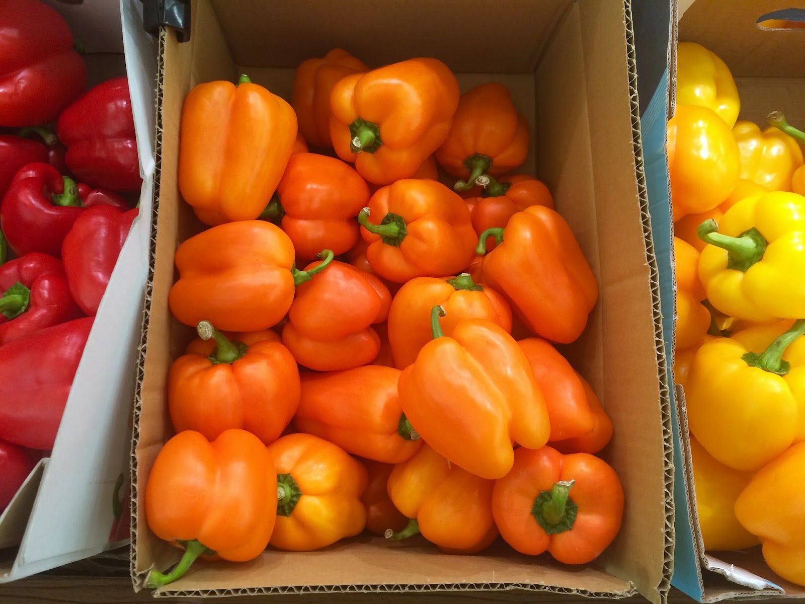 Orange colour capsicum in a carton box Orange colour capsicum in a carton box